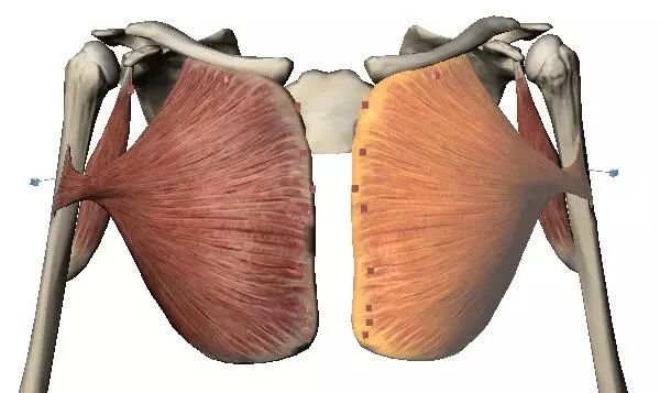 ‘ky开元电竞’张学友国语新碟《Wake Up Dreaming醒着做梦》月底发行 受邀周刊专访畅聊心路历程(图1) ky开元电竞