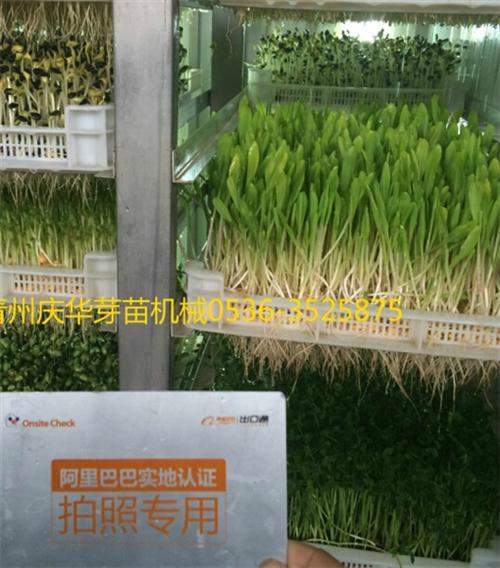 2013成都小升初:成都市关于做好2013小学毕业生初中入学工作的通知_ky开元集团(图1) ky开元