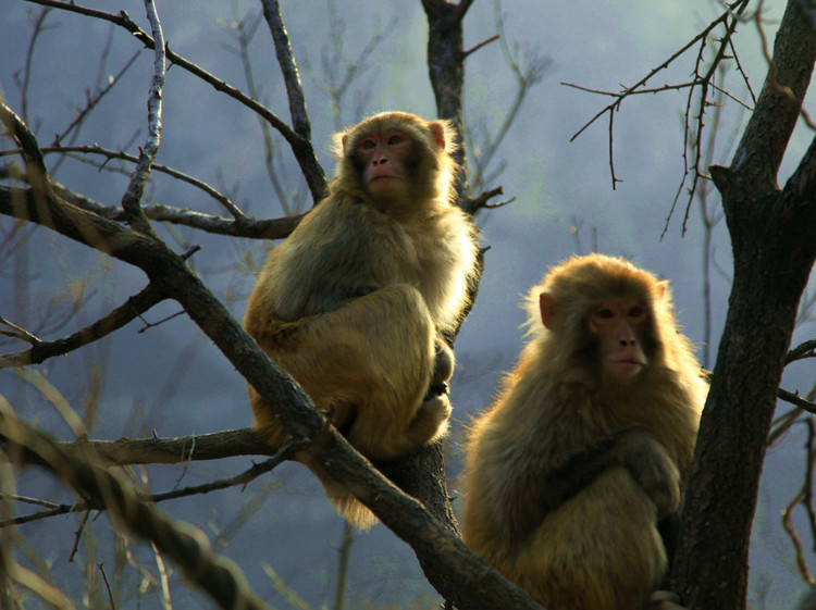 KY开元集团官网