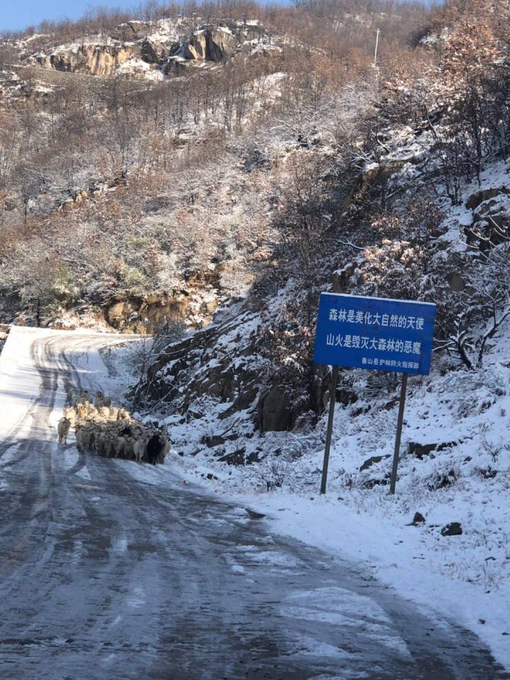 鹤壁市综合高中:落实资助政策,传递大爱真情-ky开元(图2) KY开元集团官网