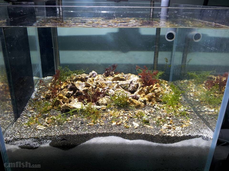 KY开元集团官网