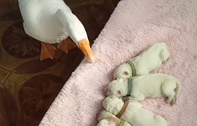 ky开元电竞