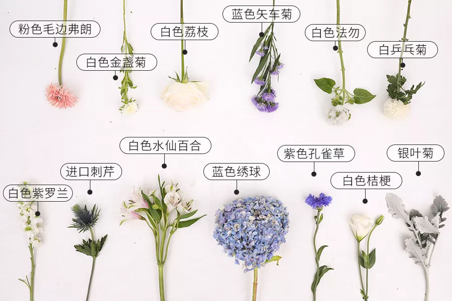 ky开元